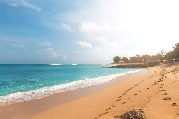 istock Tropical beach with yellow sand, azure ocean and green trees 959639250