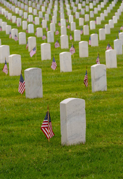istock White gravestones at National cemetary with small flags 959639284