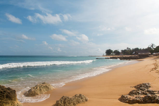 istock Tropical beach with yellow sand, azure ocean and green trees 959639302