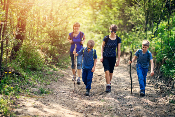 istock Family hiking in forest 959641598
