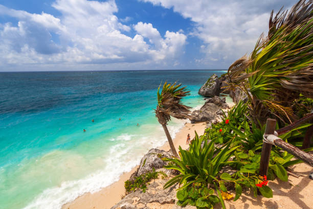 istock Caribbean beach at the cliff in Tulum 959642244