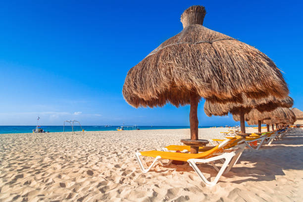 istock Beach at Caribbean sea in Playa del Carmen 959642920