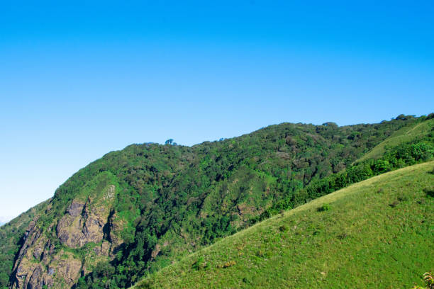 istock Sky, mountain, forest, fog and beautiful views. beautiful nature 959645440