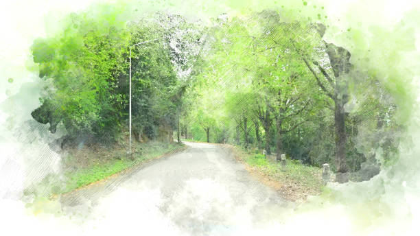 abstrato colorido árvore e estrada no fundo da pintura em aquarela. - autumn road landscape mountain - fotografias e filmes do acervo