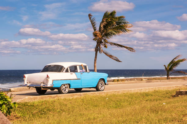 istock Old car and palm trees on the waterfront in Cuba 959648124