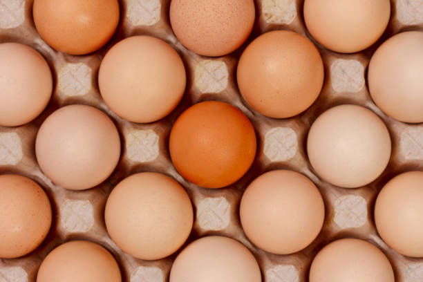 istock the eggs in the carton boxes laying, top view closeup 959651774