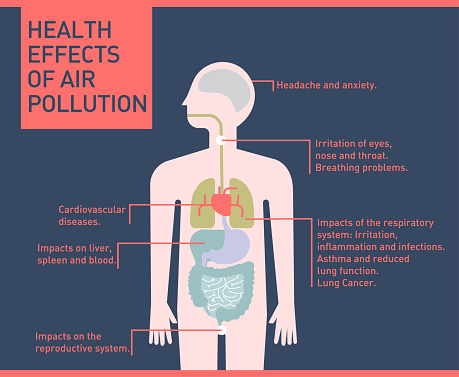 Health effects of air pollution on human body, infographic flat illustration vector, healhtcare