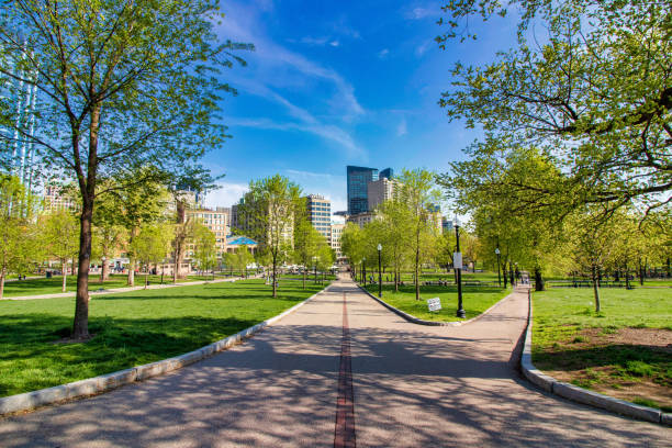 piękny wiosenny dzień w boston common park massachusetts - massachusetts landscape new england spring zdjęcia i obrazy z banku zdjęć