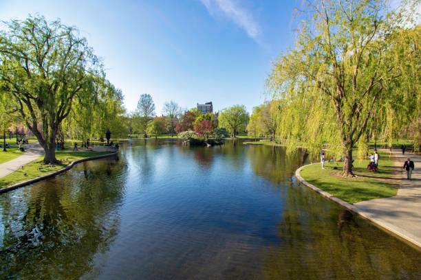 belle journée de printemps à boston common park massachusetts - massachusetts landscape new england spring photos et images de collection