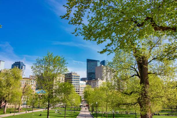istock Beautiful spring day at Boston Common Park Massachusetts 959662800