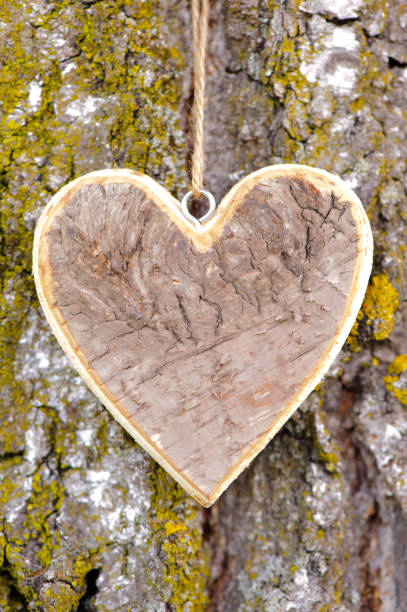 istock wooden heart hanging on plank 959673328