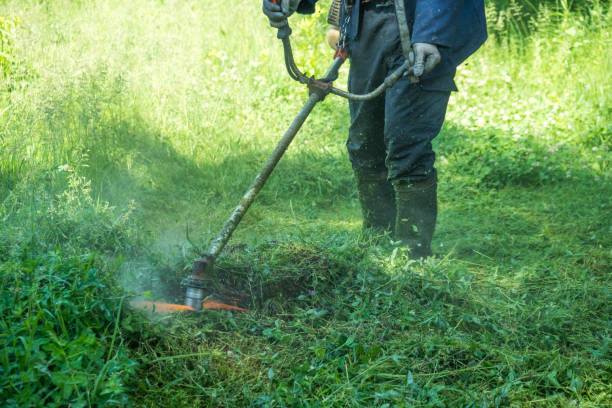 istock The gardener cutting grass by lawn mower 959674318