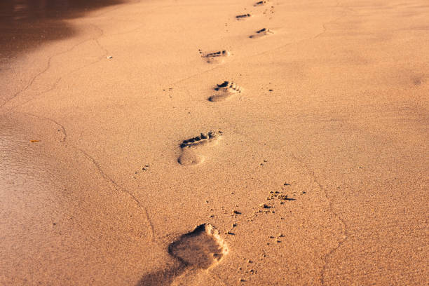 ślady śladu na mokrym złotym piasku - men footprint beach sunset zdjęcia i obrazy z banku zdjęć