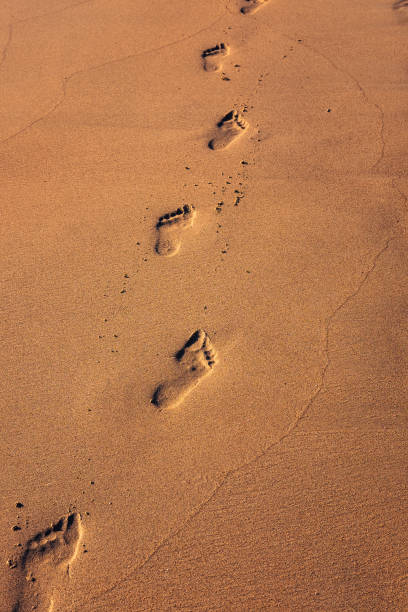 istock Footprints trace on wet golden sand 959675028