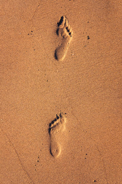 istock Footprints trace on wet golden sand 959675040
