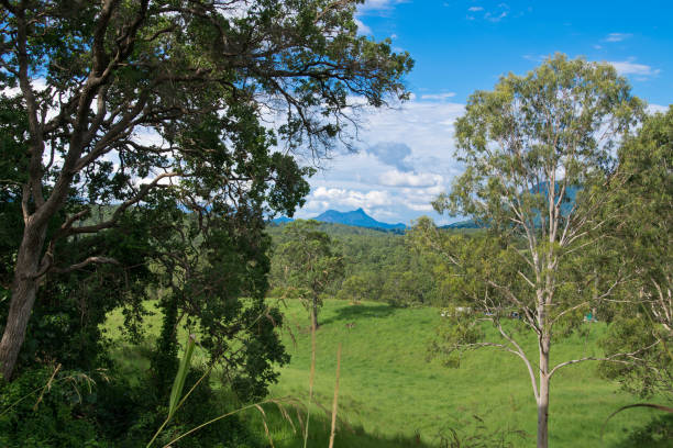 istock Landscape in Australian hinterland in the summer 959678186
