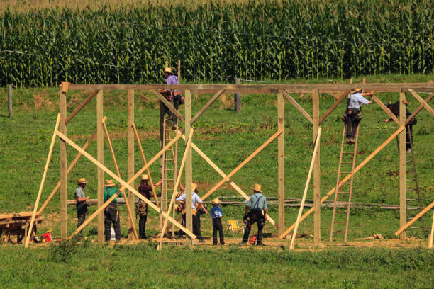 Amish Build Barn New Providence, PA, USA - July 30, 2013: Amish farmers at a "u201cbarn raising"u201d in rural Lancaster County. mennonite barn stock pictures, royalty-free photos & images