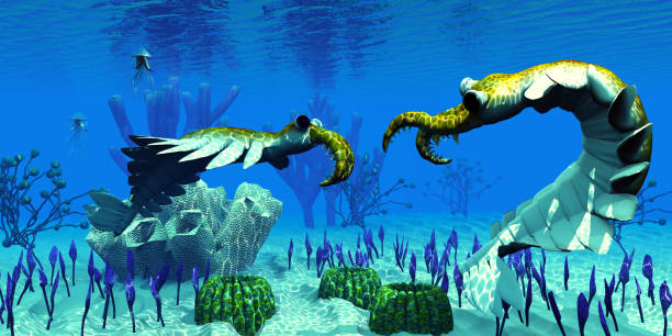 istock Anomalocaris in Cambrian Seas 959689786