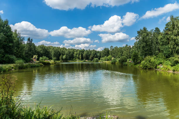 istock summer landscape with lake 959689858