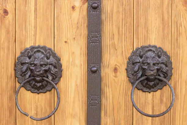 two door handles with rings in the form of a lion's head against a light wood background