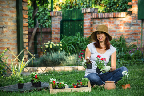 istock Mid-age woman planting flowers in her backyard 959693044