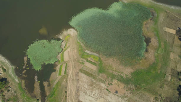 istock View of the Paoay Lake, Philippines 959695246