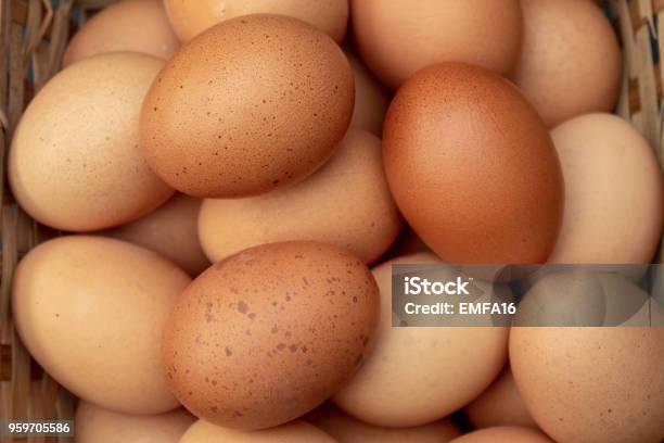 A Basket Of Hens Eggs From Above Stock Photo - Download Image Now - Animal Egg, Egg - Food, Chicken Meat