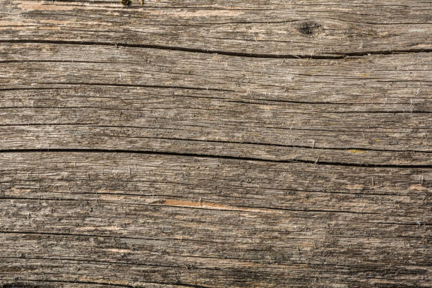 古いドライの質感風化割れた木材、ログ、クローズ アップの抽象的な背景の繊維に沿って亀裂 - wood rustic close up nail ストックフォトと画像