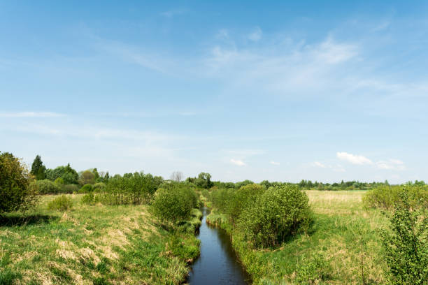 istock narrow river flows through a field with trees to the horizon, a landscape background 959709426