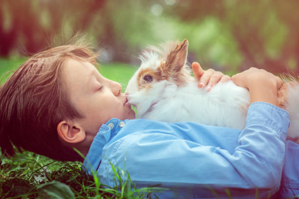 istock Cute boy with rabbit laying on grass in summer 959711692