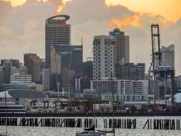 istock Auckland harbour waiting for all the action 959713350