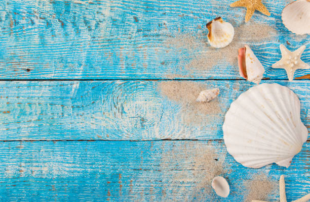 istock Summer traveling time. Sea holiday background with various shells 959718016