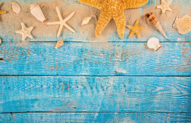 istock Summer traveling time. Sea holiday background with various shells 959720112
