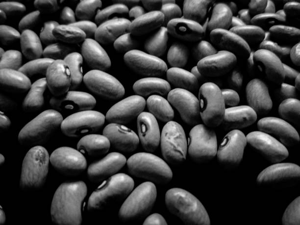 beans