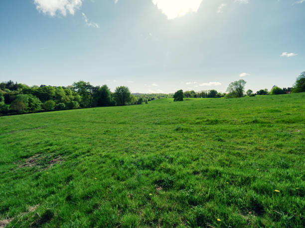 istock Spring countryside,Northern Ireland 959724288