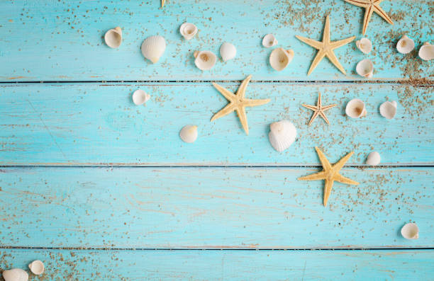istock summer seashells on wooden background 959725370