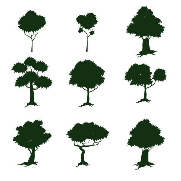 istock Set of trees, silhouette, cartoon style, isolated, vector, illustration 959725586