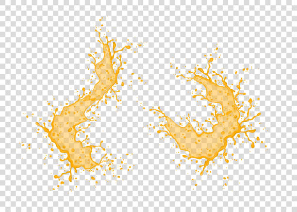 Orange, pineapple,  mango, papaya juice  splash. Orange, pineapple,  mango, papaya juice  splash and drops isolated on transparent background. Realistic vector texture. honey crisp stock illustrations