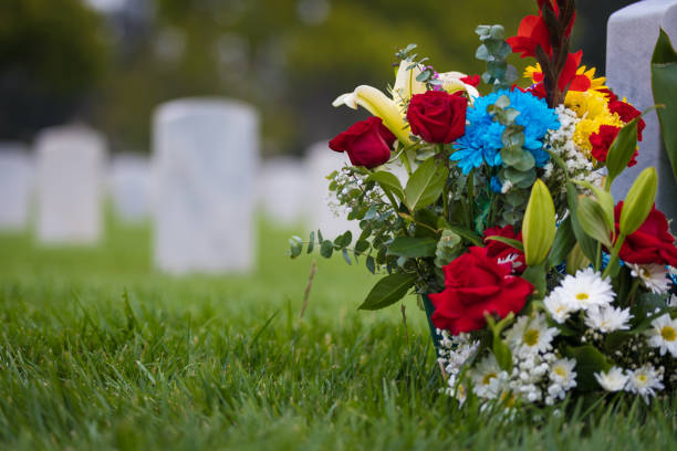 vita gravstenar och blommor på kyrkogården för memorial day - blommor grav bildbanksfoton och bilder