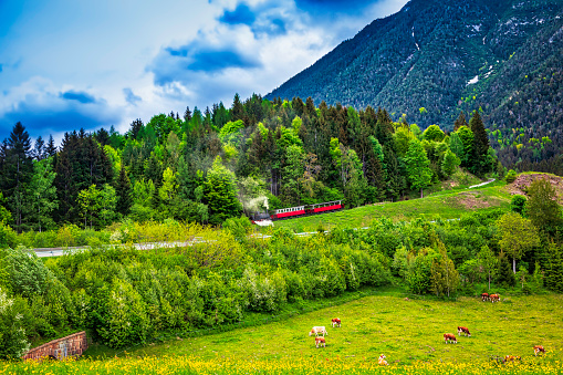 an old steam train is crossing the green hill in the Alp mountains