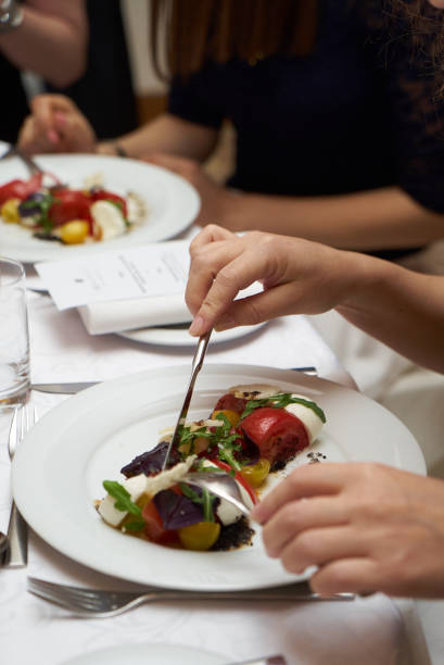 istock Vegetarian food with marinated tomatoes, arugula, mozzarella che 959740250