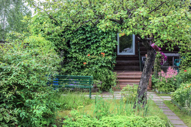 country wooden house with blossoming garden
