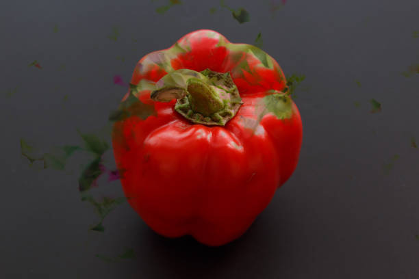 A red lantern pepper is on a black background.