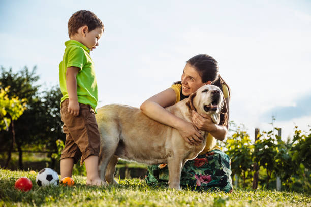 istock Happy boy and mother with dog 959744584