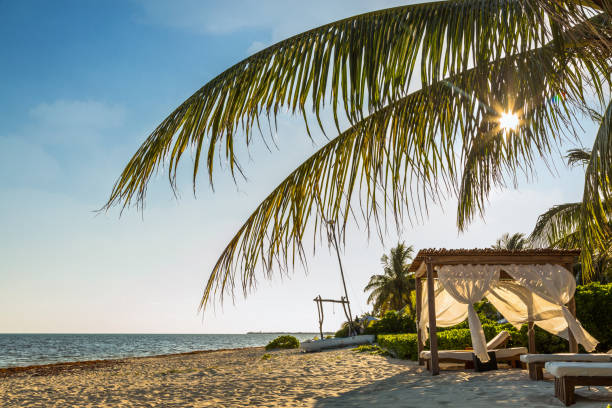istock Relaxing Cabana on Beach in Mexico 959745016