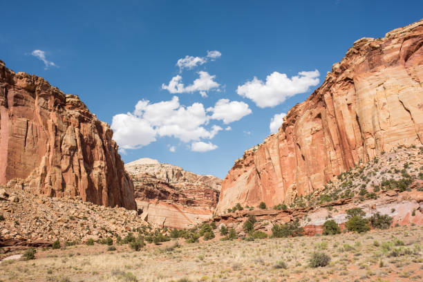 istock Capitol Reef National Park in Utah 959745410