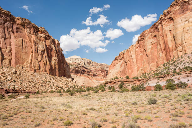 istock Capitol Reef National Park in Utah 959747532