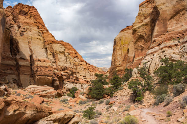 istock Capitol Reef National Park in Utah 959747772