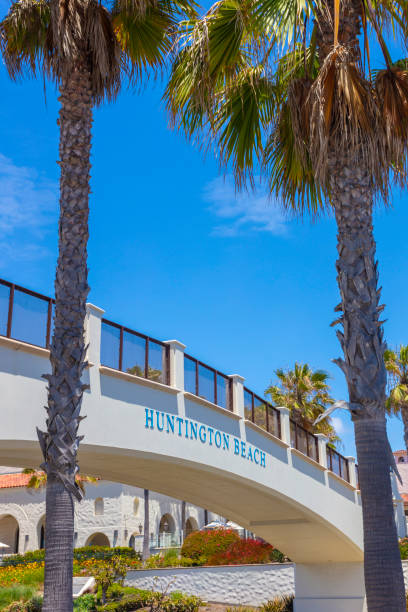 istock Huntington Beach - California 959749338