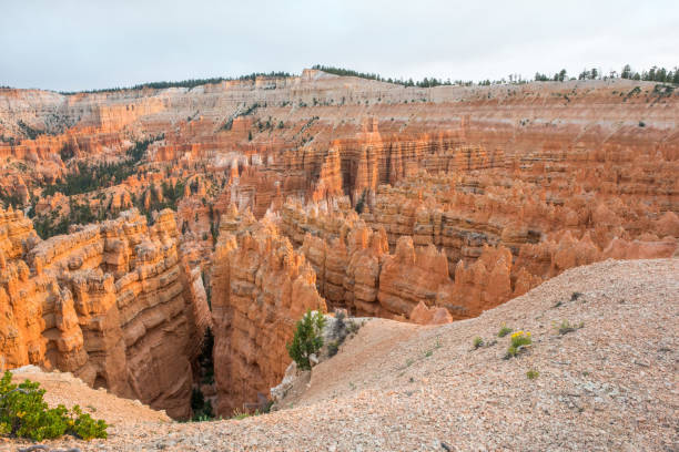 istock Bryce Canyon National Park in Utah 959754412
